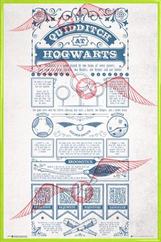 HARRY POTTER Poster Plakat | Bild und Kunststoff-Rahmen - Quidditch In Hogwarts (91 x 61cm) von HARRY POTTER