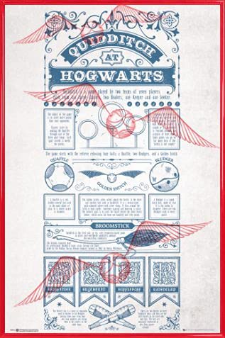 Harry Potter Poster Plakat | Bild und Kunststoff-Rahmen - Quidditch In Hogwarts (91 x 61cm) von Harry Potter