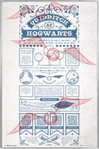 Harry Potter Poster Plakat | Bild und Kunststoff-Rahmen - Quidditch In Hogwarts (91 x 61cm) von Harry Potter