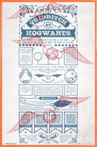 HARRY POTTER Poster Plakat | Bild und Kunststoff-Rahmen - Quidditch In Hogwarts (91 x 61cm) von HARRY POTTER