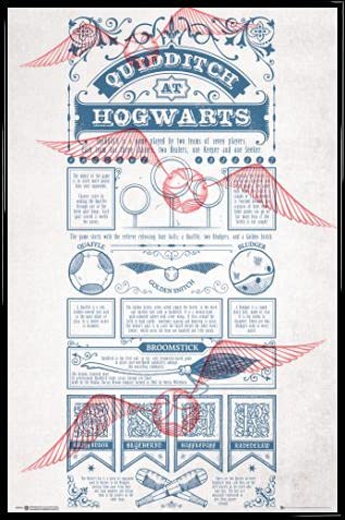 Harry Potter Poster Plakat | Bild und Kunststoff-Rahmen - Quidditch In Hogwarts (91 x 61cm) von Harry Potter