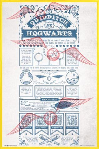 Harry Potter Poster Plakat | Bild und Kunststoff-Rahmen - Quidditch In Hogwarts (91 x 61cm) von Harry Potter