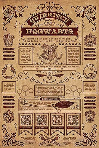 Harry Potter Poster Quidditch at Hogwarts (61cm x 91,5cm) + 2 St. Schwarze Posterleisten mit Aufhängung von Harry Potter