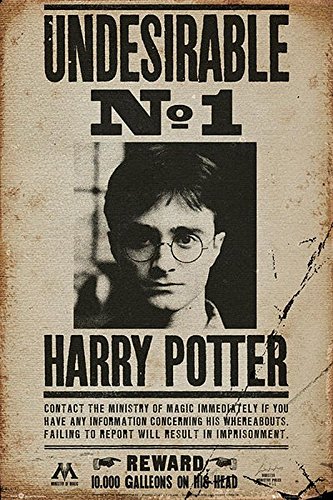 Harry Potter Poster Undesirable No. 1 (61cm x 91,5cm) + 2 St. Schwarze Posterleisten mit Aufhängung von Harry Potter