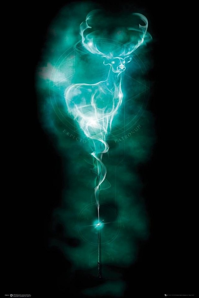Harry Potter Poster von Harry Potter