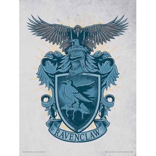 Harry Potter Ravenclaw Poster, 40 x 30 cm, Blau / Braun / Grün von Harry Potter