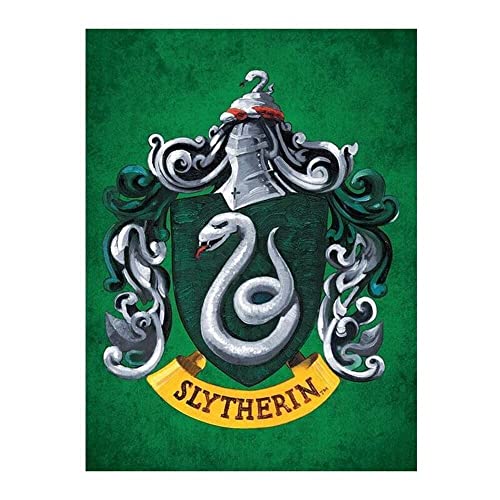 Harry Potter Slytherin Kunstdruck auf Leinwand, 60 x 80 cm, Grün von Harry Potter
