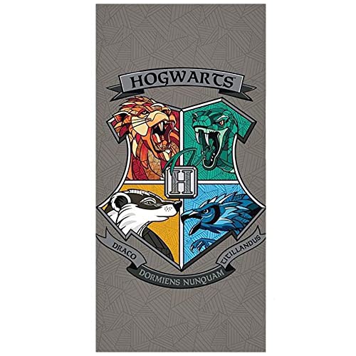 Harry Potter Strandtuch HP201062 von Harry Potter