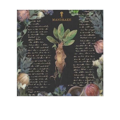 Harry Potter Yume Fantasy-Druck, 40 x 40 cm, Schwarz von Harry Potter