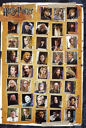 Harry Potter und die Heiligtümer des Todes Poster (61cm x 91,5cm) + 2 St. Schwarze Posterleisten mit Aufhängung von Harry Potter