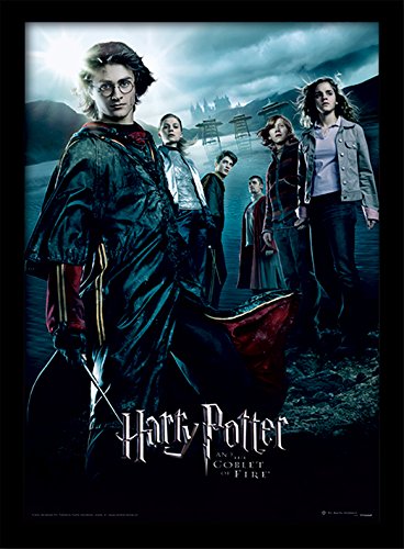 Pyramid International Harry Potter (Goblet of Fire) 30x40 cm gerahmter Druck, 250GSM PAPERWRAP MDF, Mehrfarbig, 44 x 33 x 4 cm von Harry Potter