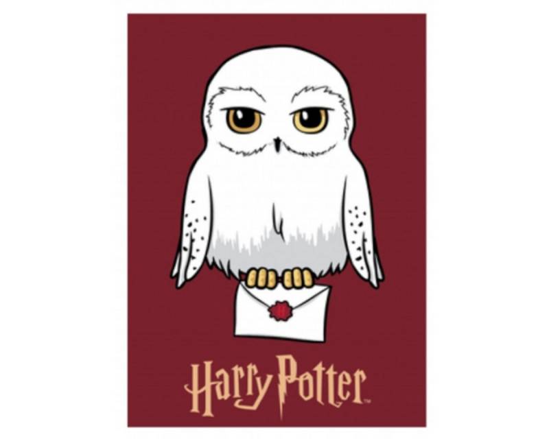 Wohndecke Harry Potter Kuscheldecke für Kinder Fleecedecke, Harry Potter, Geschenkidee für Mädchen und Jungen von Harry Potter