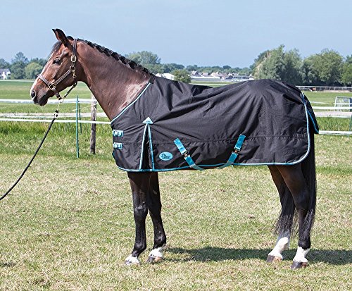Harry's Horse Thor deken 0 Grams met Fleece Lining zwart, Größe:185cm von Harry's Horse