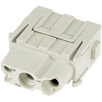 Harting 09 14 003 3102 Buchseneinsatz Han® C-Modul 3 + PE Crimpen 1St. von Harting