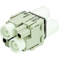 Harting Buchsenmodul 09 14 002 3123 Inhalt: 1St. von Harting