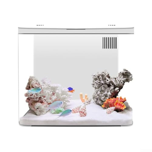 Hasaller Aquarium-Starter-Set, tropisches Freshwa-ter LED-Fischtank, Starter-Set, kleine Betta-Desktop-Fischtanks mit LED-Lichtfilter, ökologisches System für Heimdekoration, 20 x 20 x 14 cm (weiß) Hasaller Aquarium-Starter-Set, tropisches Freshwa-ter LED-Fischtank, Starter-Set, kleine Betta-Desktop-Fischtanks mit LED-Lichtfilter, ökologisches System für Heimdekoration, 20 x 20 x 14 cm (weiß) von Hasaller