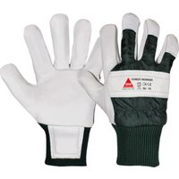 Hase Arbeitshandschuhe Forest Worker Rindnarbenleder von Hase