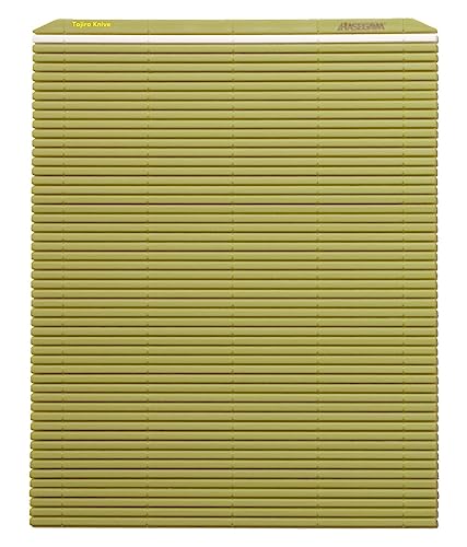 Hasegawa 25,4 x 24,1 cm, Kunststoff, Grün von Hasegawa