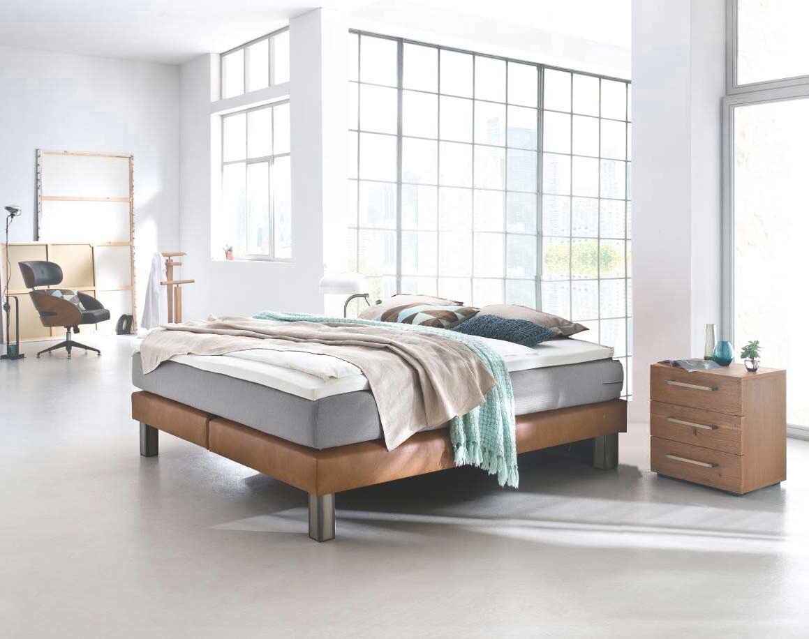 Hasena Boxspring Liege Comi Hasena Boxspring Liege Comi von Hasena PREMIUM