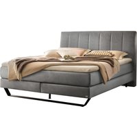 Hasena Pronto Ambra Boxspringbett metall/schwarz von Hasena