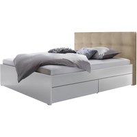 Hasena Function&Comfort Otello Tip-On Massivholzbett mit Stauraum von Hasena