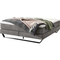 Hasena Pronto Julieta Boxspringbett metall/schwarz Hasena Pronto Julieta Boxspringbett metall/schwarz von Hasena