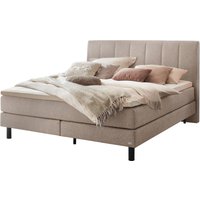 Hasena Pronto Donna Boxspringbett metall/schwarz Hasena Pronto Donna Boxspringbett metall/schwarz von Hasena