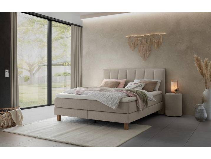 Hasena Pronto Reina Boxspringbett Eiche bright Hasena Pronto Reina Boxspringbett Eiche bright von Hasena