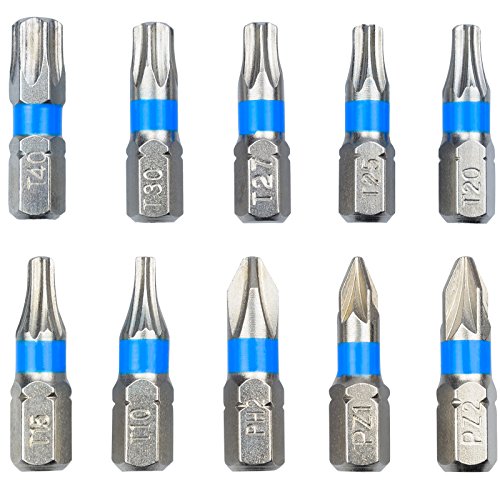 100 tlg. Premium Torx Bit Set Bits Sortiment aus sehr hochwertigem S2 Stahl, je 10 Stück mit den Größen T10 T15 T20 T20 T25 T27 T30 T40 PH2 PZ1 PZ2 (2) von HASKYY