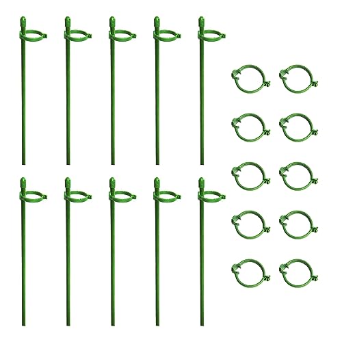 Kleine Pflanzstäbe, verstellbar, für den Garten, einzelner Stiel, Übertopf für Rosen, abnehmbarer Pfahl, Verbindungsrohr, Gartenwerkzeug Kleine Pflanzstäbe, verstellbar, für den Garten, einzelner Stiel, Übertopf für Rosen, abnehmbarer Pfahl, Verbindungsrohr, Gartenwerkzeug von Hattba