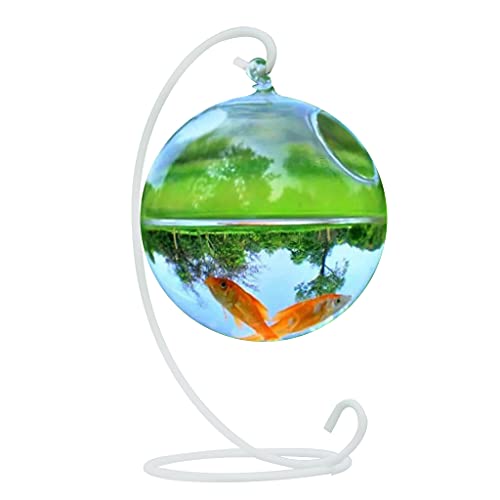 Transparentes kugelförmiges Glas, handgefertigter Fisch für klare Pflanze, kleiner Tisch, Aquarium, für Betta-Fische, Heimdekoration, Hängeschale Transparentes kugelförmiges Glas, handgefertigter Fisch für klare Pflanze, kleiner Tisch, Aquarium, für Betta-Fische, Heimdekoration, Hängeschale von Hattba