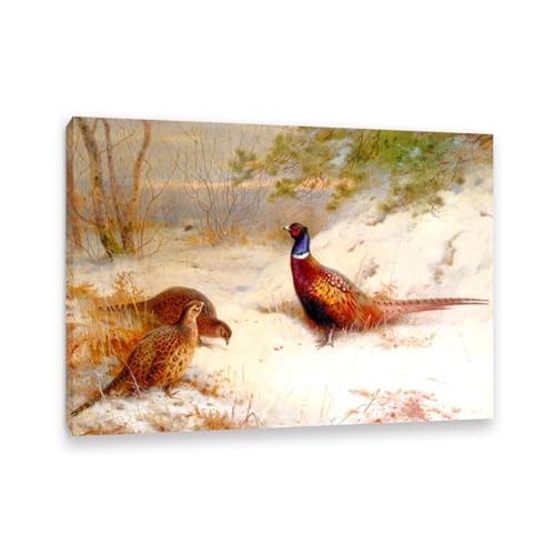Archibald Thorburn Kunstwerk auf Leinwand Ein Wintermorgendämmer Fasanen im Schnee leinwand gemälde vögel Berühmte Ölgemälde Reproduktion Wandkunst Wohnzimmer Wohnkultur 100x70cm(33x28in)Gerahmt von Hau3sh3a