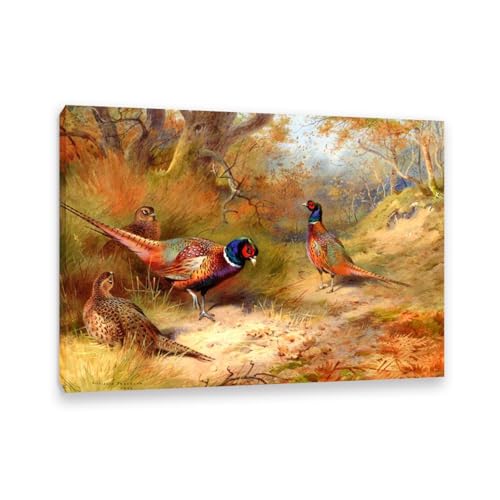 Archibald Thorburn Kunstwerk auf Leinwand Ring Hals Fasane leinwand gemälde vögel Berühmte Ölgemälde Reproduktion Wandkunst Wohnzimmer Wohnkultur 42x30cm(17x12in) Gerahmt von Hau3sh3a