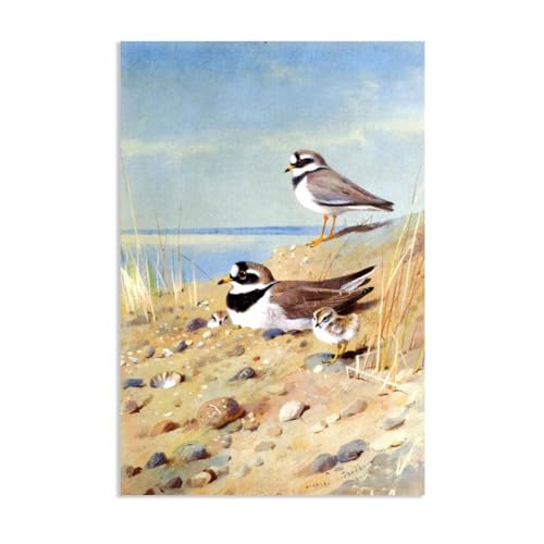 Archibald Thorburn Kunstwerk auf Leinwand Ringed Plover und ihre Jungen am Ufer leinwand gemälde vögel Berühmte Ölgemälde Reproduktion Wandkunst Wohnzimmer Wohnkultur 120x80cm(47x31in)Rahmenlos von Hau3sh3a