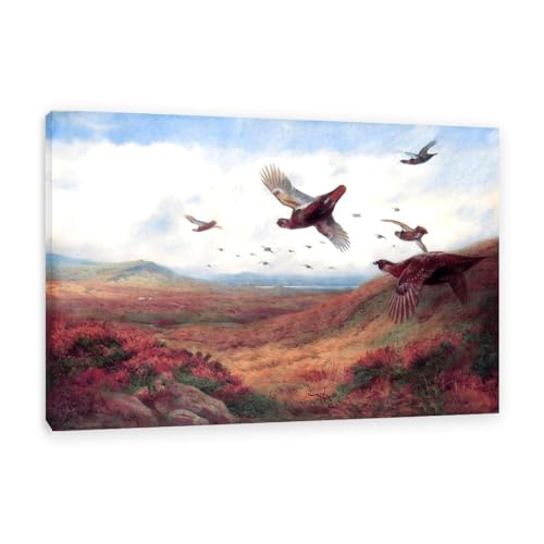Hau3sh3a Archibald Thorburn Kunstwerk auf Leinwand Auerhahn im Flug leinwand gemälde vögel Berühmte Ölgemälde Reproduktion Wandkunst Wohnzimmer Wohnkultur 75x50cm(30x20in) Gerahmt von Hau3sh3a
