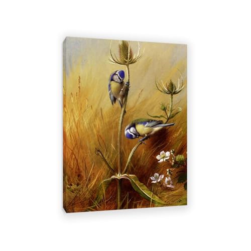 Hau3sh3a Archibald Thorburn Kunstwerk auf Leinwand Bluetits auf einem Teasel leinwand gemälde vögel Berühmte Ölgemälde Reproduktion Wandkunst Wohnzimmer Wohnkultur 100x70cm(33x28in) Gerahmt von Hau3sh3a