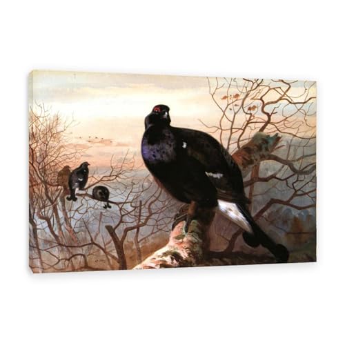 Hau3sh3a Archibald Thorburn Kunstwerk auf Leinwand Das abendliche Roost Black Game leinwand gemälde vögel Berühmte Ölgemälde Reproduktion Wandkunst Wohnzimmer Wohnkultur 60x40cm(24x16in) Gerahmt von Hau3sh3a