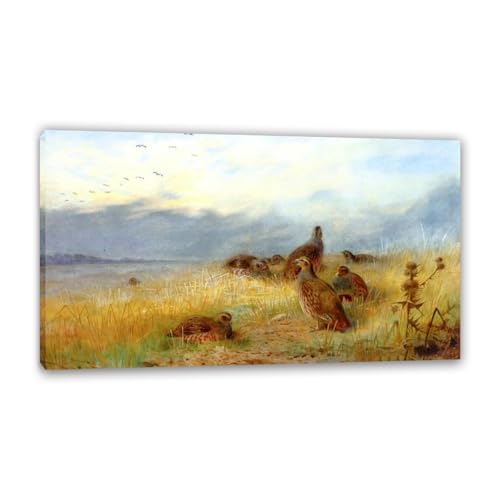 Hau3sh3a Archibald Thorburn Kunstwerk auf Leinwand Der Ruf des grauen Rebhuhns leinwand gemälde vögel Berühmte Ölgemälde Reproduktion Wandkunst Wohnzimmer Wohnkultur 135x80cm(53x31in) Gerahmt von Hau3sh3a
