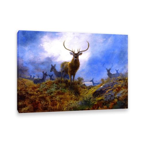 Hau3sh3a Archibald Thorburn Kunstwerk auf Leinwand Die letzte Chance vor der Dunkelheit leinwand gemälde vögel Berühmte Ölgemälde Reproduktion Wandkunst Wohnzimmer Wohnkultur 85x60cm(33x24in) Gerahmt von Hau3sh3a