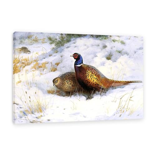 Hau3sh3a Archibald Thorburn Kunstwerk auf Leinwand Ein Paar Fasanen im Schnee leinwand gemälde vögel Berühmte Ölgemälde Reproduktion Wandkunst Wohnzimmer Wohnkultur 60x40cm(24x16in) Gerahmt von Hau3sh3a