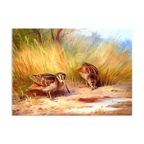 Hau3sh3a Archibald Thorburn Kunstwerk auf Leinwand Ein Paar Holzschektien leinwand gemälde vögel Berühmte Ölgemälde Reproduktion Wandkunst Wohnzimmer Wohnkultur 110x80cm(43x31in) Rahmenlos von Hau3sh3a