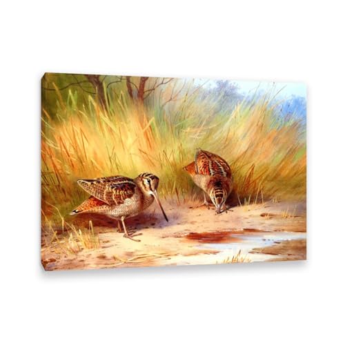 Hau3sh3a Archibald Thorburn Kunstwerk auf Leinwand Ein Paar Holzschektien leinwand gemälde vögel Berühmte Ölgemälde Reproduktion Wandkunst Wohnzimmer Wohnkultur 42x30cm(17x12in) Gerahmt von Hau3sh3a