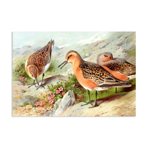 Hau3sh3a Archibald Thorburn Kunstwerk auf Leinwand Ein Trio von Knoten leinwand gemälde vögel Berühmte Ölgemälde Reproduktion Wandkunst Wohnzimmer Wohnkultur 105x70cm(41x28in) Rahmenlos von Hau3sh3a