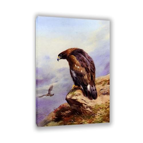 Hau3sh3a Archibald Thorburn Kunstwerk auf Leinwand Ein goldener Adler leinwand gemälde vögel Berühmte Ölgemälde Reproduktion Wandkunst Wohnzimmer Wohnkultur 120x80cm(47x31in) Gerahmt von Hau3sh3a