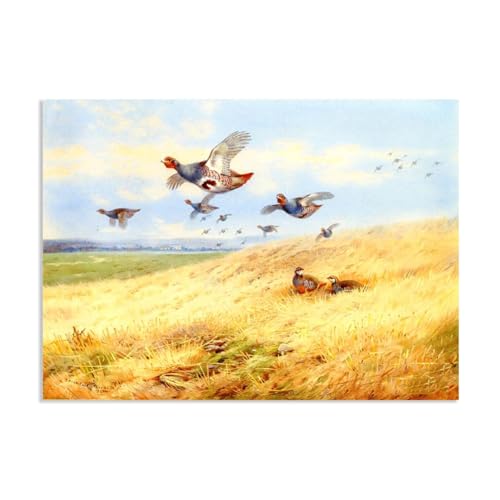 Hau3sh3a Archibald Thorburn Kunstwerk auf Leinwand Graue Reichweite im Flug leinwand gemälde vögel Berühmte Ölgemälde Reproduktion Wandkunst Wohnzimmer Wohnkultur 42x30cm(17x12in) Rahmenlos von Hau3sh3a