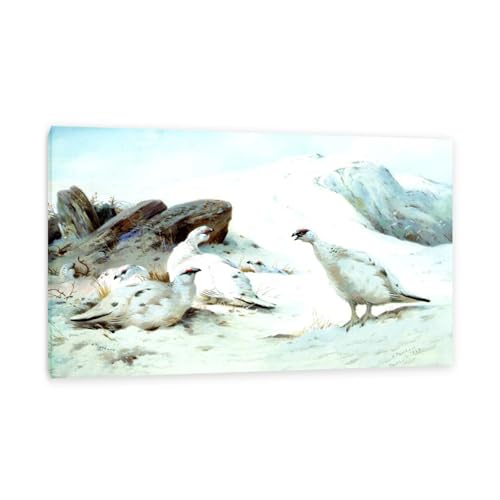 Hau3sh3a Archibald Thorburn Kunstwerk auf Leinwand Ptarmigan im Schnee leinwand gemälde vögel Berühmte Ölgemälde Reproduktion Wandkunst Wohnzimmer Wohnkultur 80x50cm(31x20in) Gerahmt von Hau3sh3a