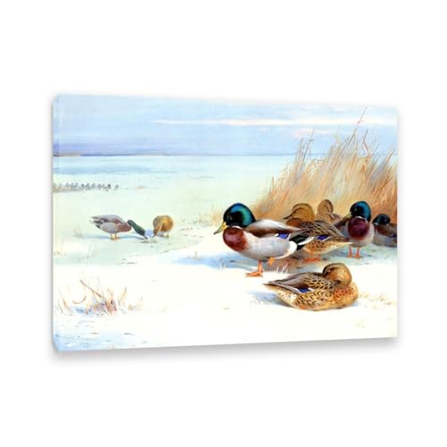 Hau3sh3a Archibald Thorburn Kunstwerk auf Leinwand Schläger auf einem gefrorenen See leinwand gemälde vögel Berühmte Ölgemälde Reproduktion Wandkunst Wohnzimmer Wohnkultur 100x70cm(33x28in) Gerahmt von Hau3sh3a