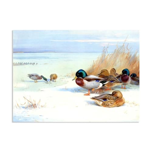 Hau3sh3a Archibald Thorburn Kunstwerk auf Leinwand Schläger auf einem gefrorenen See leinwand gemälde vögel Berühmte Ölgemälde Reproduktion Wandkunst Wohnzimmer Wohnkultur 100x70cm(33x28in) Rahmenlos von Hau3sh3a