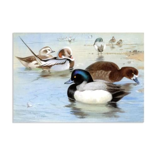 Hau3sh3a Archibald Thorburn Kunstwerk auf Leinwand Tailedenten und ein Paar Scaup leinwand gemälde vögel Berühmte Ölgemälde Reproduktion Wandkunst Wohnzimmer Wohnkultur 90x60cm(35x24in) Rahmenlos von Hau3sh3a