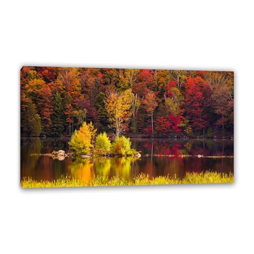 Hau3sh3a Herbstlandschaft Bild auf Leinwand Bunte rote Bäume rockt Wassergras Herbst Wandbilder Schlafzimmer Wald Wandbilder Modern Kunstdruck Deko füR Wohnzimmer85x50cm(33x20in) Gerahmt von Hau3sh3a